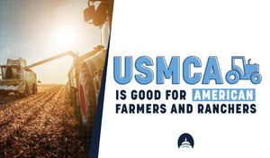 Image post by @WaysandMeansGOP on Twitter