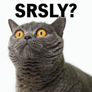 Image post by @statefarm on Instagram