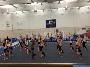 Image post by @ucdavisgym on Instagram