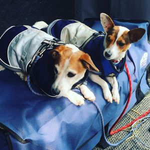 Image post by @snaffle_it on Instagram