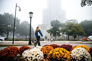 Image post by @PittTweet on Twitter