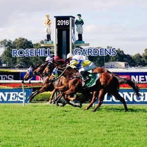 Image post by @australianturfclub on Instagram