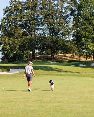 Image post by @jamesnicholasgolf on Instagram