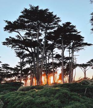 Image post by @onlyinsf on Instagram