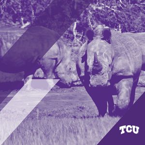 Image post by @texaschristianuniversity on Instagram