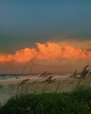Image post by @katieparkspics on Instagram