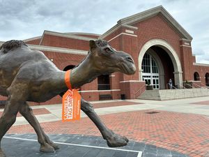 Image post by @gocamels on Instagram