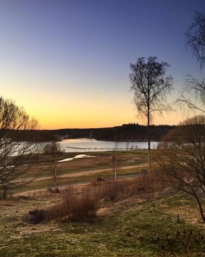 Image post by @lateruuska on Instagram