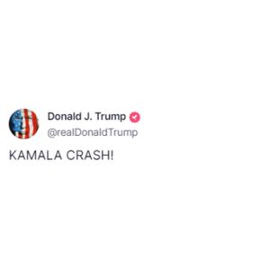 Image post by @gop on Instagram