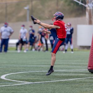 Image post by @mtlalouettes on Instagram