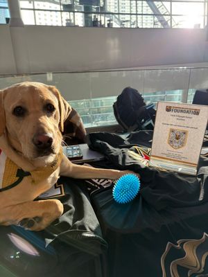 Image post by @GoldenKnights on Twitter