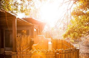 Image post by @chiawasafaris on Instagram