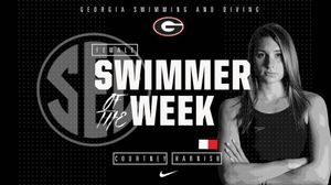 Image post by @ugaswimdive on Instagram