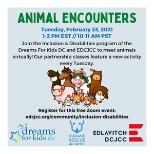 Image post by @dfk_dc on Instagram