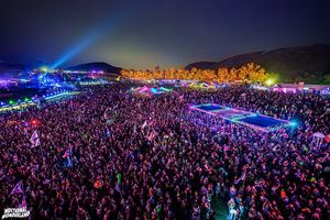 Image post by @nocturnalwland on Instagram