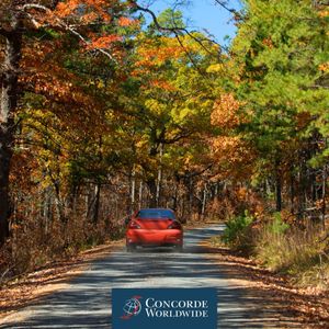 Image post by @concordeworldwide on Instagram