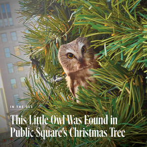 Image post by @clevelandmagazine on Instagram