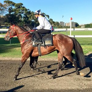 Image post by @australianturfclub on Instagram