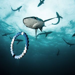 Image post by @discovery on Instagram
