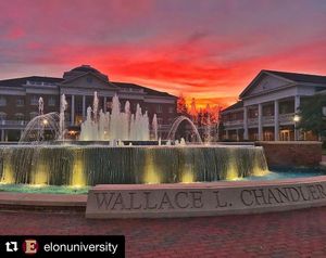 Image post by @elonvb on Instagram