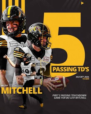 Image post by @hamiltontigercats on Instagram