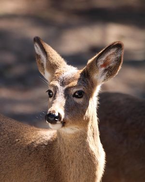 Image post by @lcunninghamcamera on Instagram