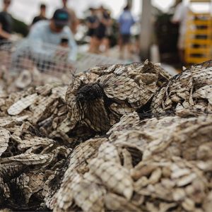 Image post by @toadfishoutfitters on Instagram