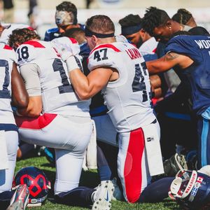 Image post by @mtlalouettes on Instagram