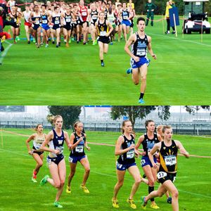 Image post by @uclaxc on Instagram