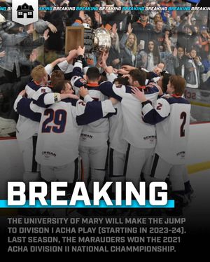 Image post by @hockeyhousepod on Instagram