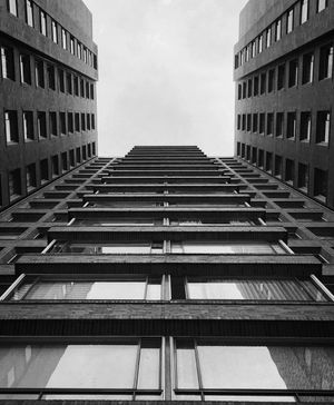 Image post by @nickbrownco on Instagram