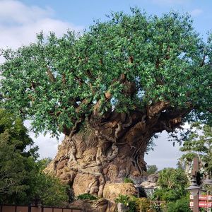 Image post by @thedisneyblog on Instagram