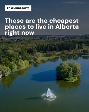 Image post by @curiocitycalgary on Instagram