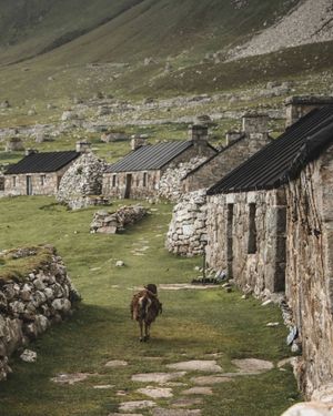 Image post by @VisitScotland on Twitter