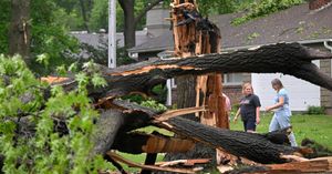 Image post by @thekansascitystar on Instagram