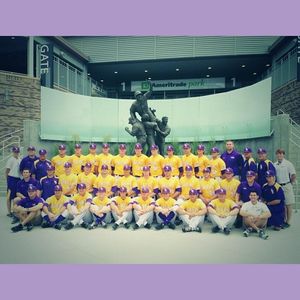 Image post by @lsutigergirls on Instagram