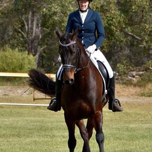 Image post by @first_bit_equine_ on Instagram