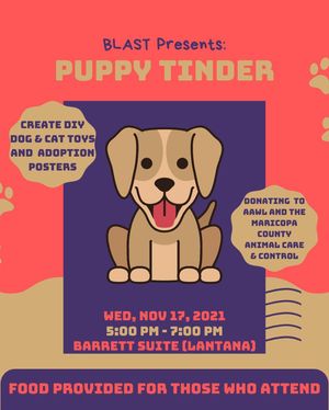 Image post by @blast_poly on Instagram