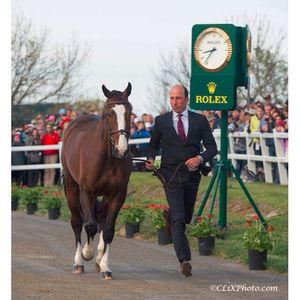 Image post by @kentuckythreedayevent on Instagram