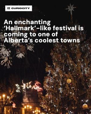 Image post by @curiocitycalgary on Instagram
