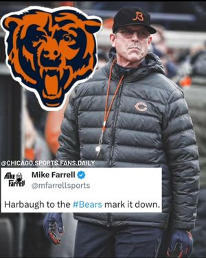 Image post by @chicago.sports.fans.daily on Instagram