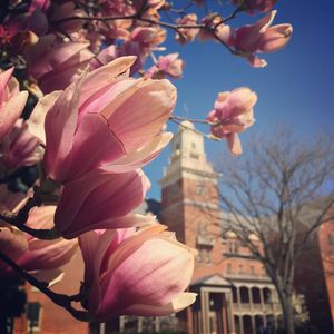 Image post by @shippensburgu on Instagram