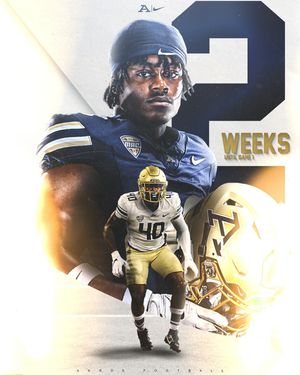 Image post by @zipsfb on Instagram
