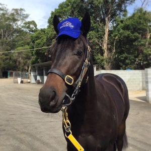 Image post by @australianturfclub on Instagram