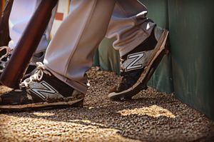 Image post by @areacodebaseball on Instagram