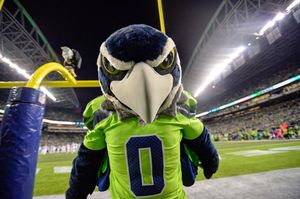 Image post by @blitztheseahawk on Instagram