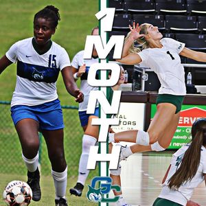 Image post by @gcsubobcats on Instagram