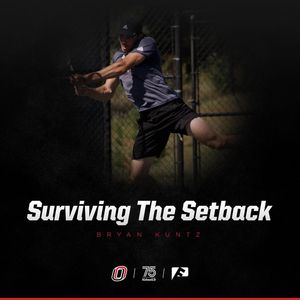 Image post by @omavs on Instagram