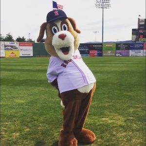 Image post by @salemredsox on Instagram
