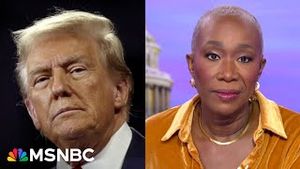 Video post by @msnbc on YouTube